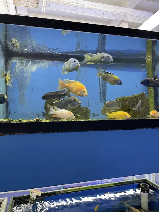 Aquatropics Picture 6