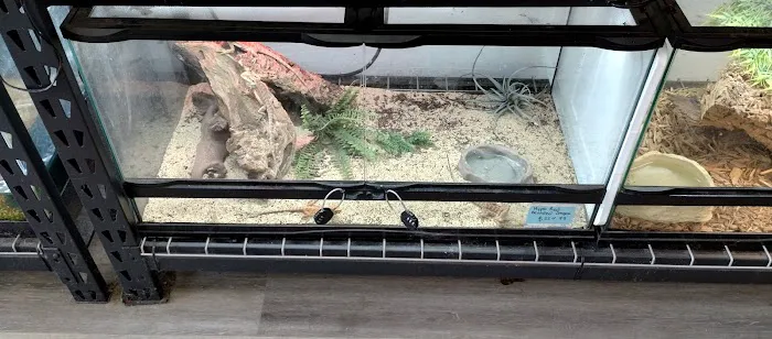 Aqua tropics Reptile Picture 5