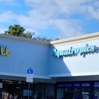 Aqua tropics Reptile ico