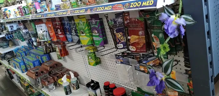 Aqua tropics Reptile Picture 2