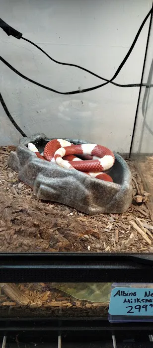 Aqua tropics Reptile Picture 7