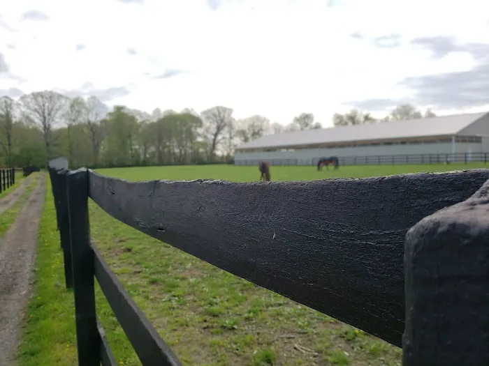 East Coast Equine Performance, LLC Picture 2