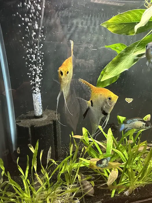 Heeeere Fishy Fishy Picture 7