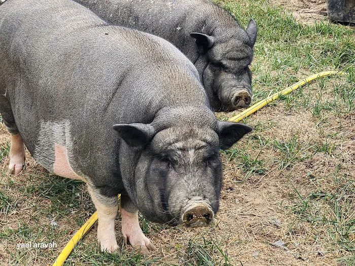 Wrightstown Veterinary Clinic Picture 1