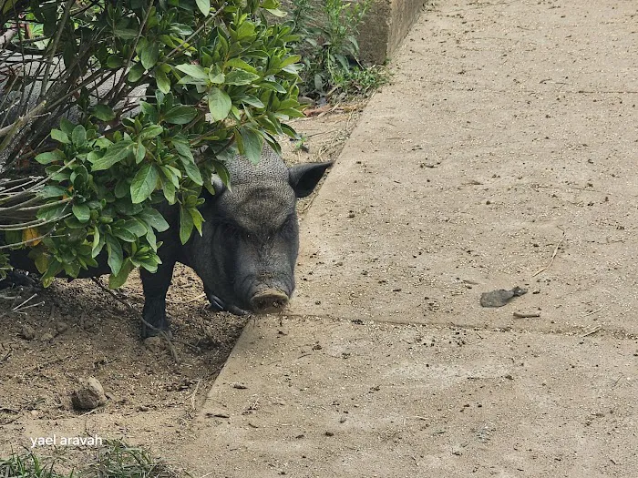 Wrightstown Veterinary Clinic Picture 2