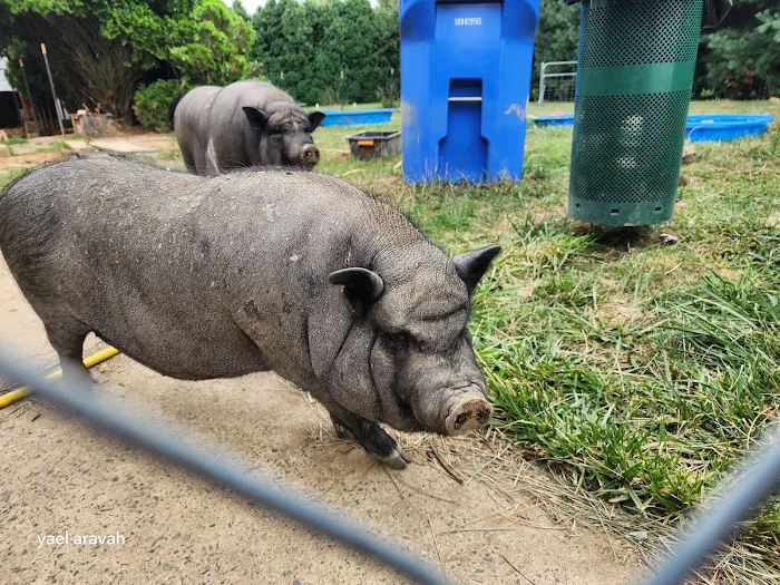 Wrightstown Veterinary Clinic Picture 6