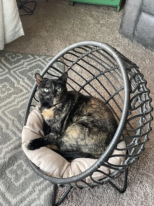 Wrightstown Veterinary Clinic Picture 8