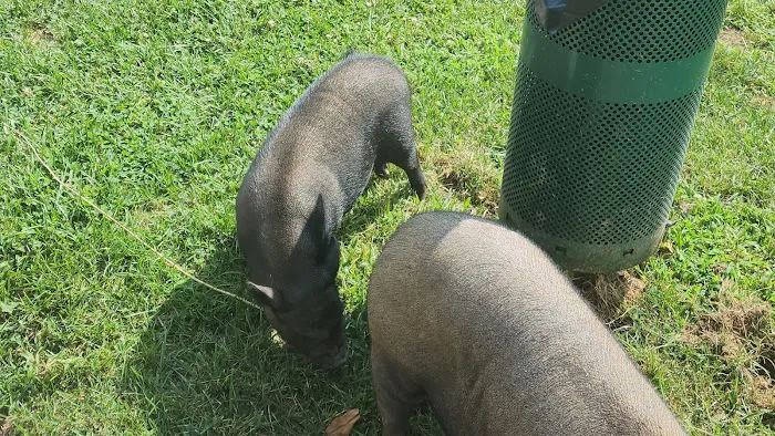 Wrightstown Veterinary Clinic Picture 5