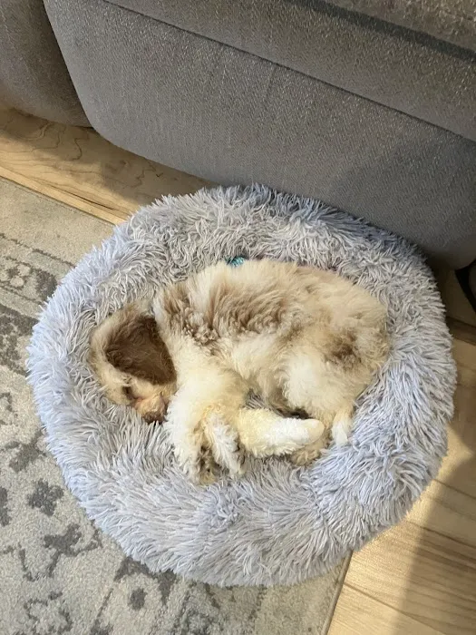 Wrightstown Veterinary Clinic Picture 4