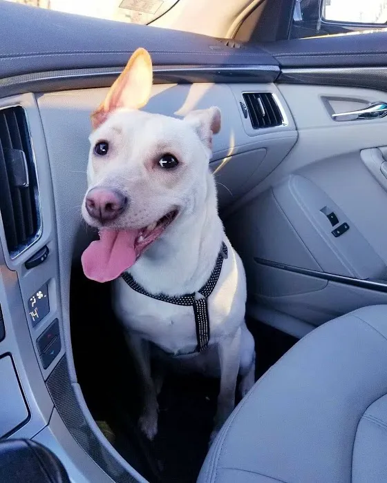 Wrightstown Veterinary Clinic Picture 7