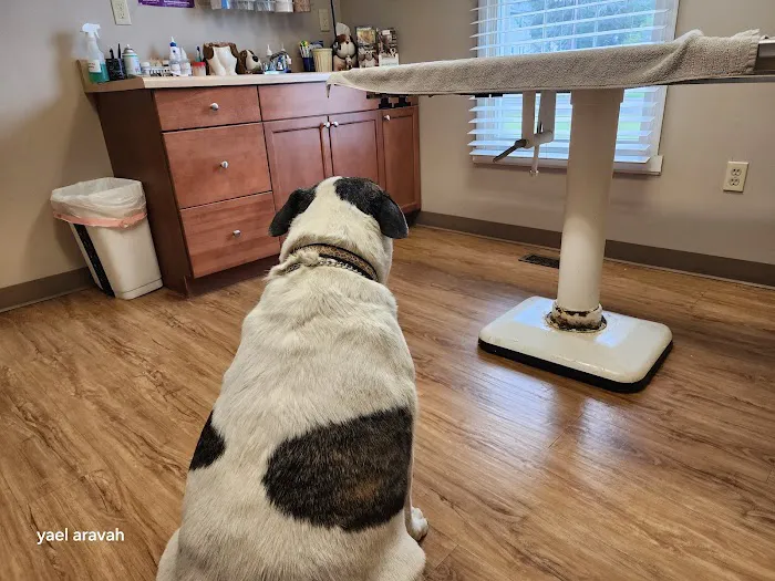 Wrightstown Veterinary Clinic Picture 3