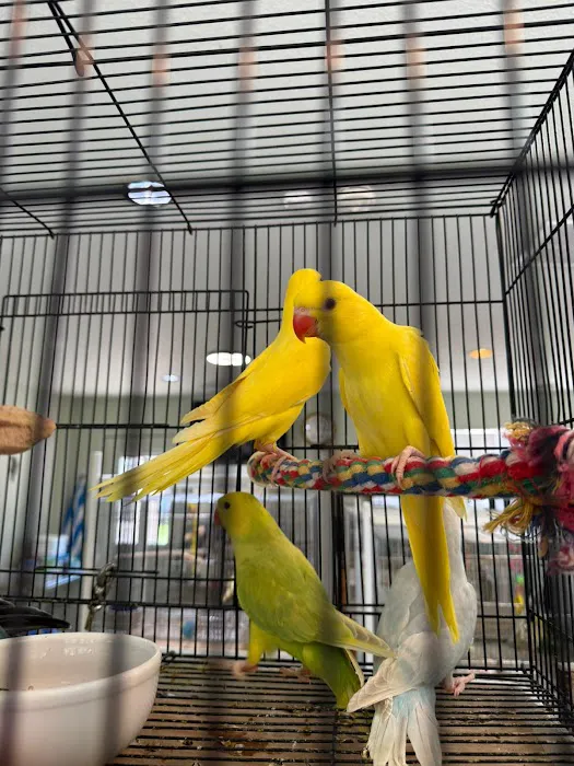 Cheech Exotic Pets Picture 2