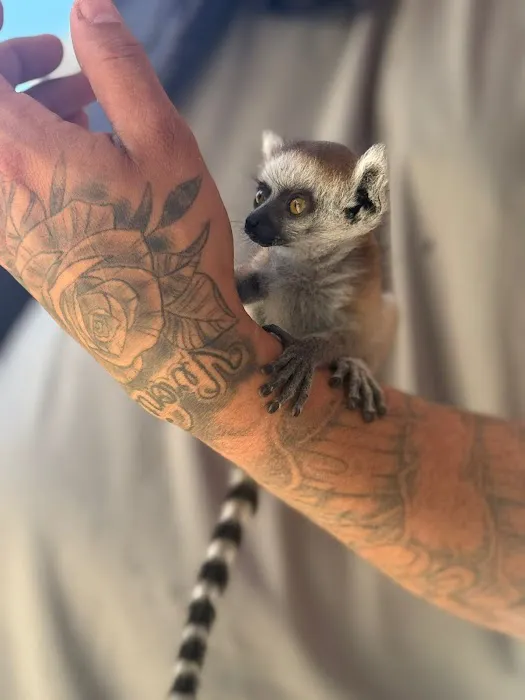 Cheech Exotic Pets Picture 8