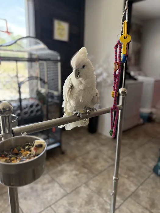 Cheech Exotic Pets Picture 7