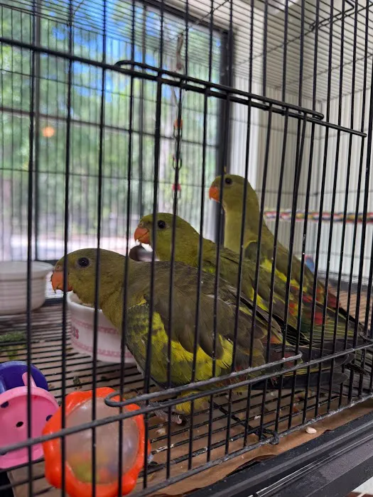 Cheech Exotic Pets Picture 3