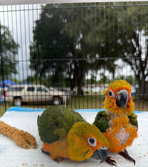 Cheech Exotic Pets Picture 4