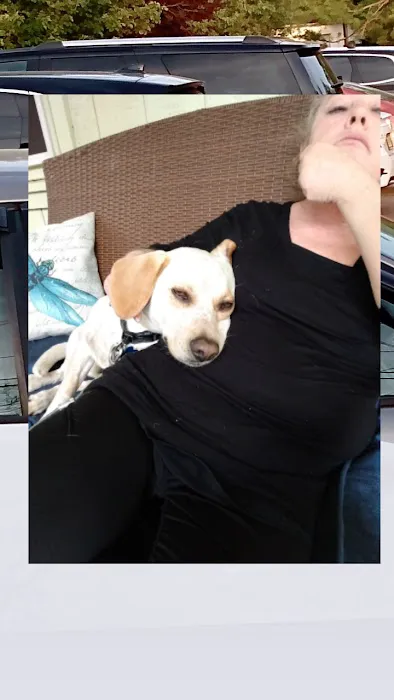 Paw Prints Veterinary Hospital, Dr. Maryann Milford Picture 1