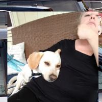 Paw Prints Veterinary Hospital, Dr. Maryann Milford ico