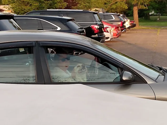 Paw Prints Veterinary Hospital, Dr. Maryann Milford Picture 2