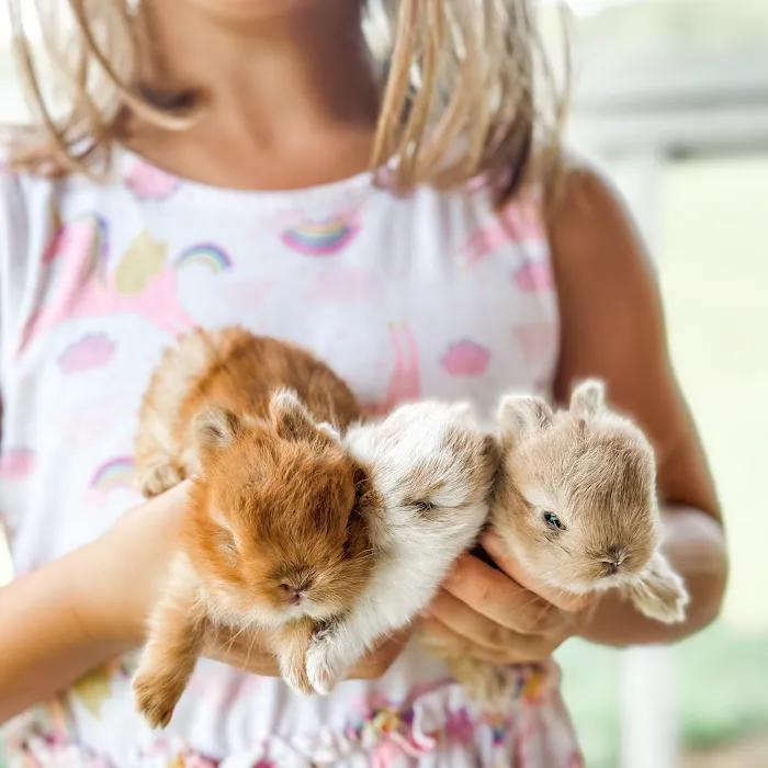 Adora Bunny Picture 3