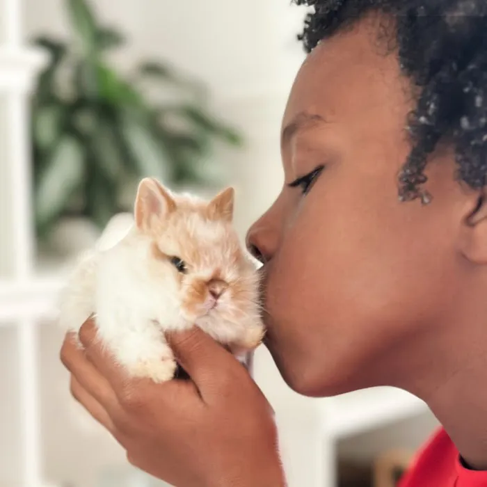 Adora Bunny Picture 7