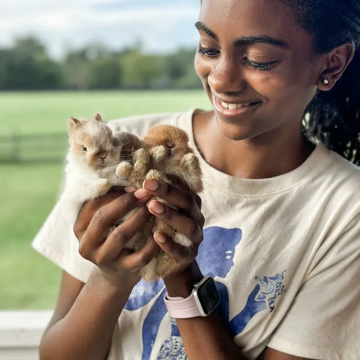 Adora Bunny Picture 6