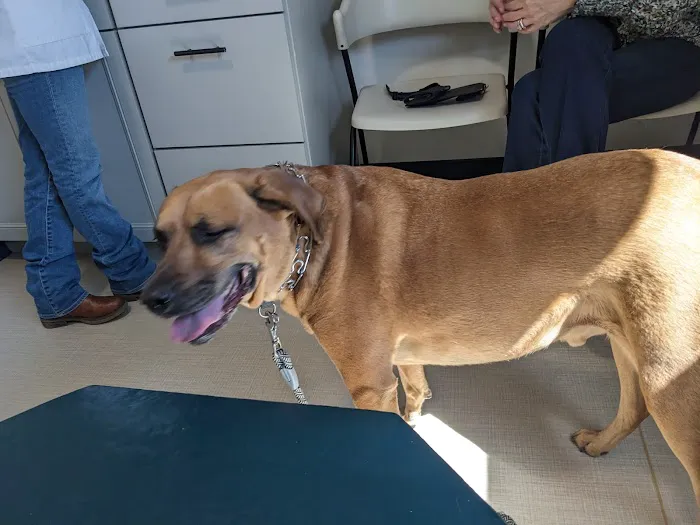 Paw Prints Veterinary Hospital Picture 2