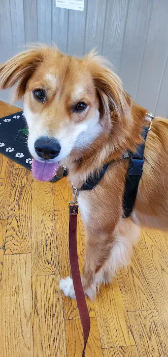 Paw Prints Veterinary Hospital Picture 5