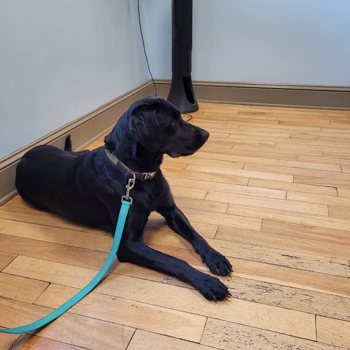 Paw Prints Veterinary Hospital Picture 4