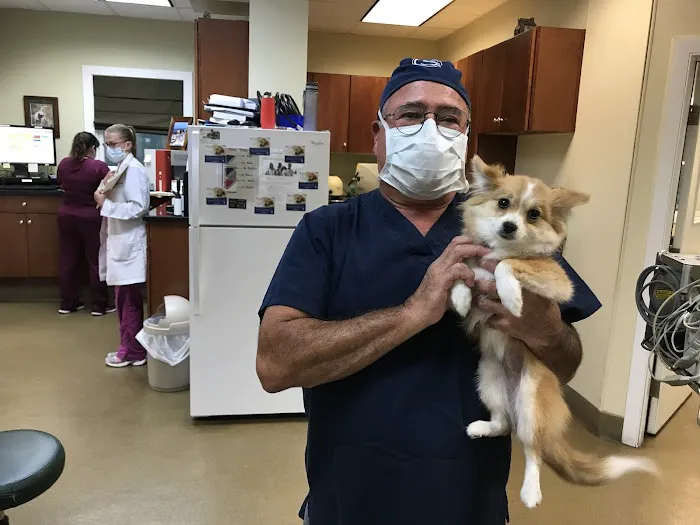 Flemington Veterinary Hospital Picture 8