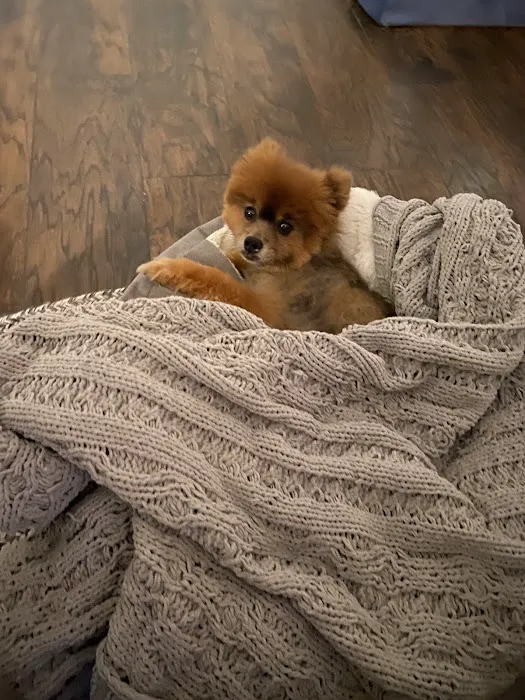 Flemington Veterinary Hospital Picture 10