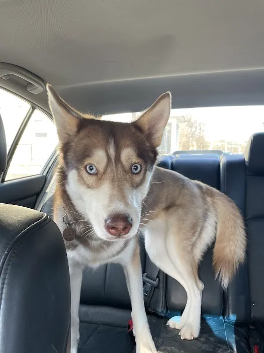 Flemington Veterinary Hospital Picture 4