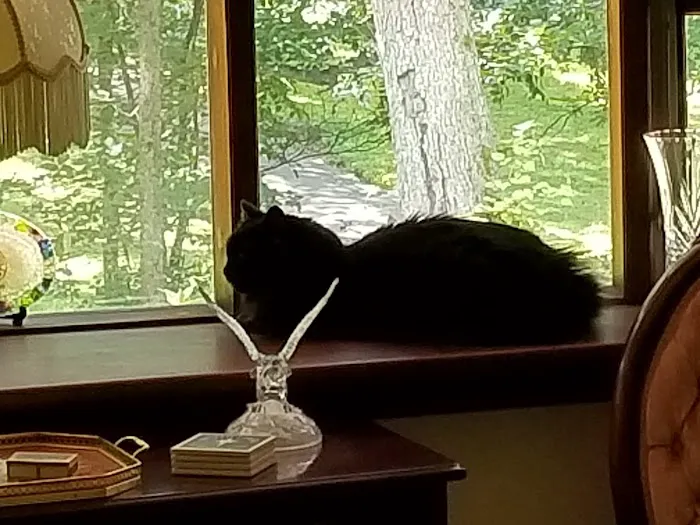 Flemington Veterinary Hospital Picture 5