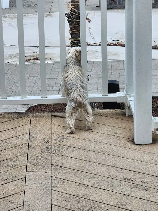 Flemington Veterinary Hospital Picture 6