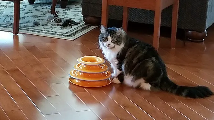 Flemington Veterinary Hospital Picture 2