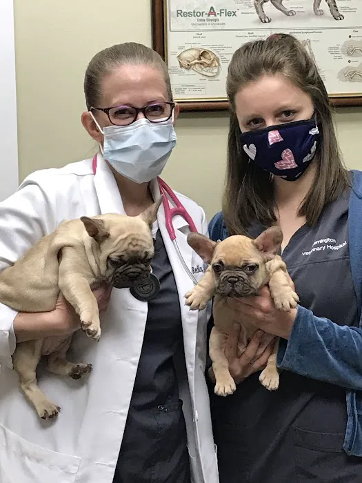 Flemington Veterinary Hospital Picture 3