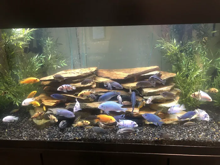 Aquariums of the Bay Picture 8