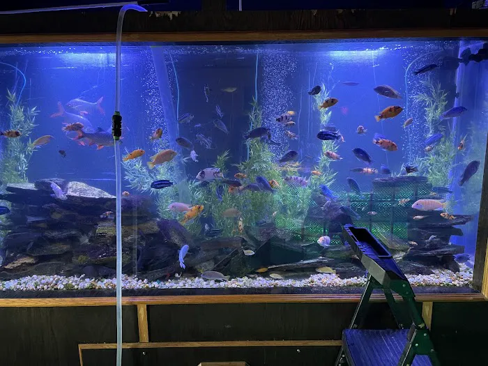 Aquariums of the Bay Picture 6