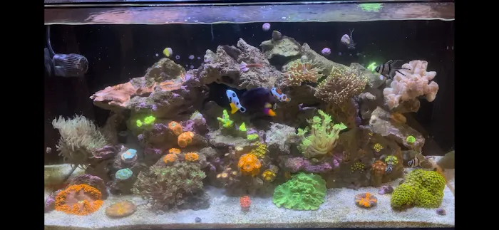 Aquariums of the Bay Picture 9