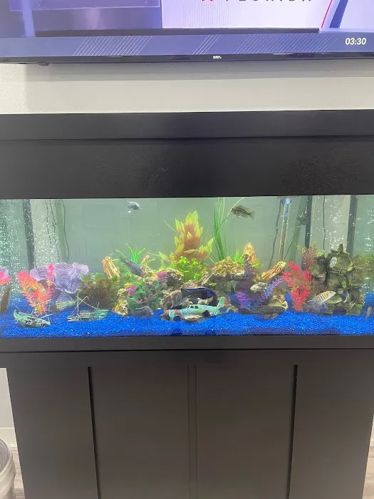 Aquariums of the Bay Picture 7