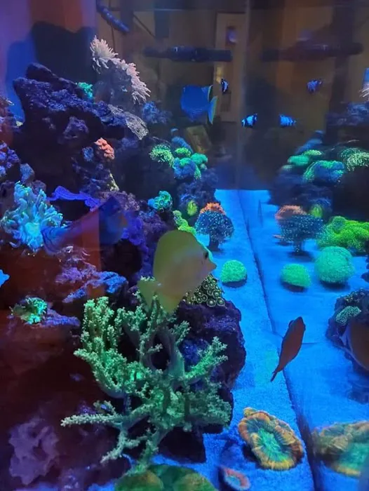 Aquariums of the Bay Picture 4