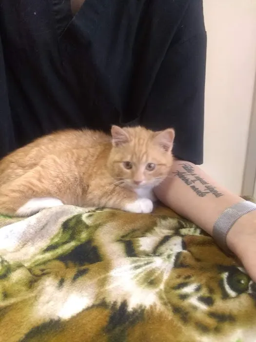 Voorhees Corner Vet Clinic Picture 6