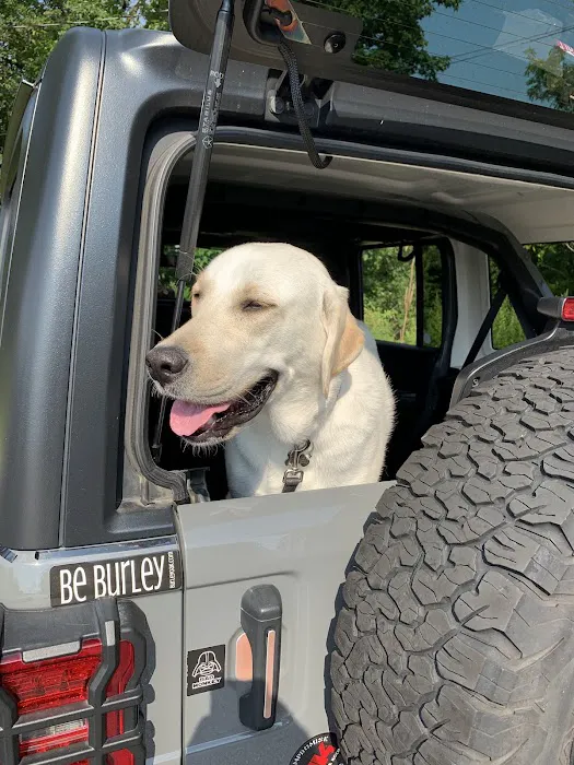 Voorhees Corner Vet Clinic Picture 3