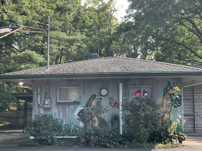 Voorhees Corner Vet Clinic Picture 4