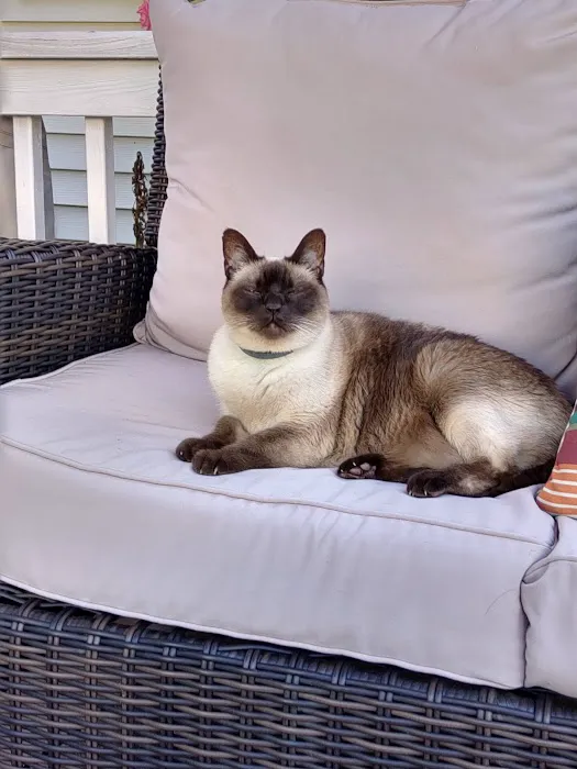 Voorhees Corner Vet Clinic Picture 1