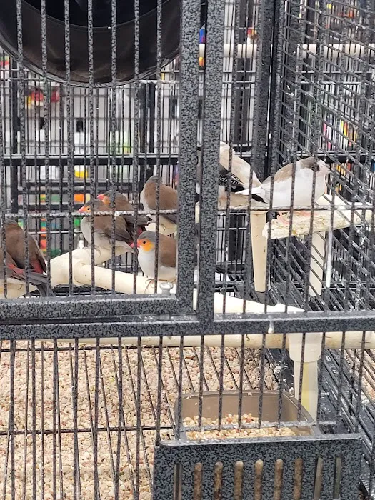 Pet Supermarket Picture 10
