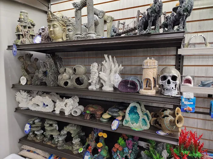Pet Supermarket Picture 2