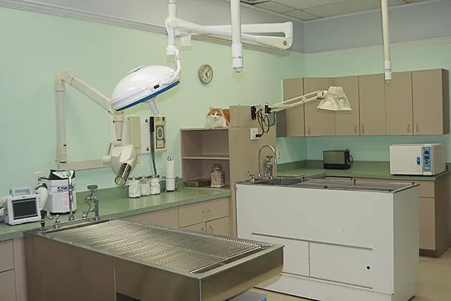 Clover Hill Animal Hospital Picture 1