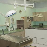 Clover Hill Animal Hospital ico