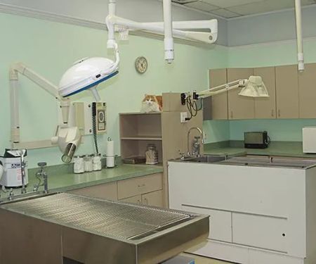 Clover Hill Animal Hospital